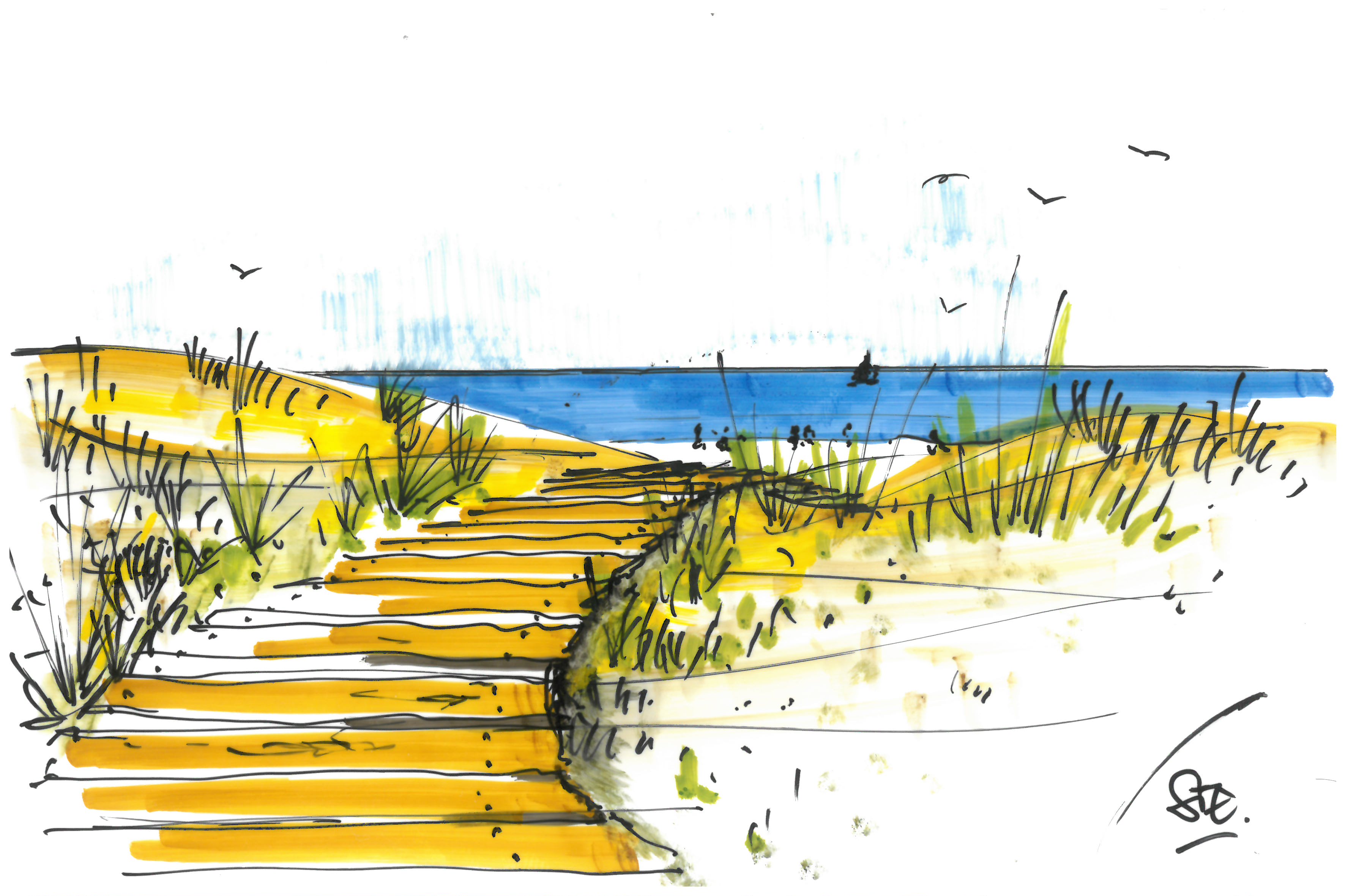 #011/06 Holzweg zum Strand